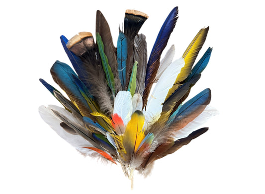 Collection 63 - Mix Random Exotic Feather Sample Pack (Bulk)