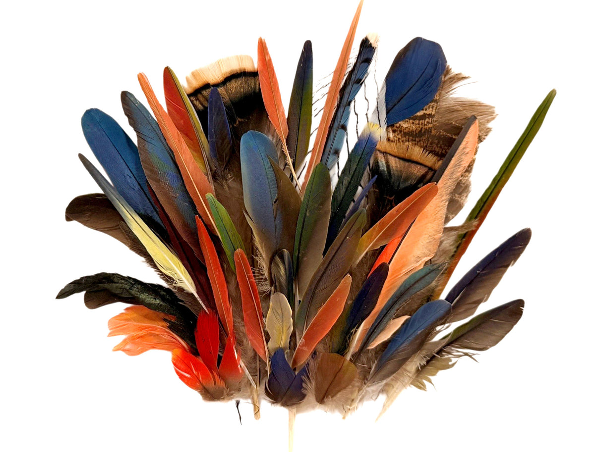 Collection 63 - Mix Random Exotic Feather Sample Pack (Bulk)