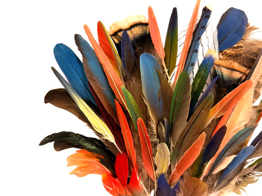 Collection 63 - Mix Random Exotic Feather Sample Pack (Bulk)