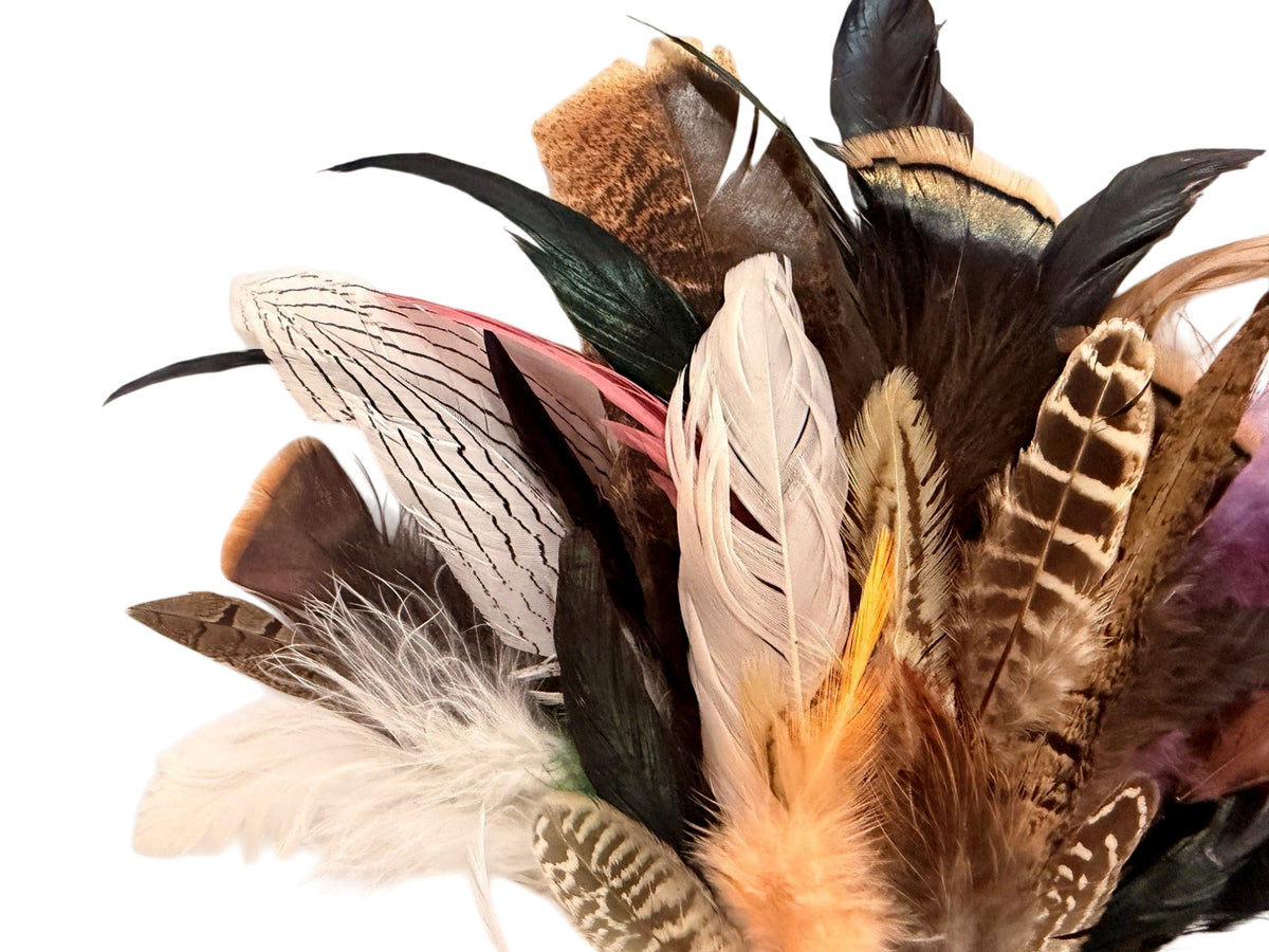 Collection 73 - Mix Random Feather Sample Pack (Bulk)