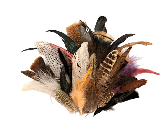 Collection 73 - Mix Random Feather Sample Pack (Bulk)