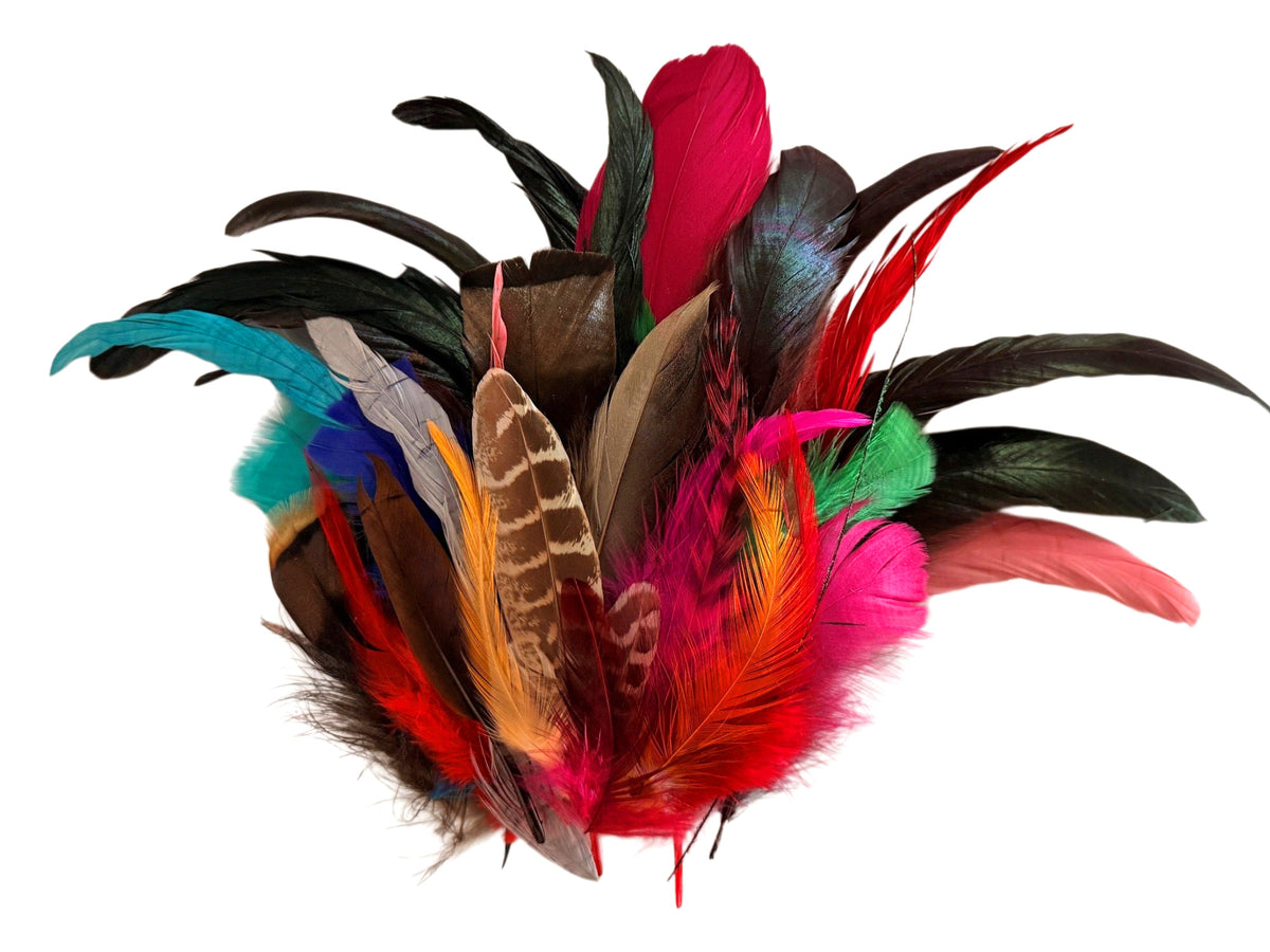 Collection 76 - Mix Random Feather Sample Pack (Bulk)