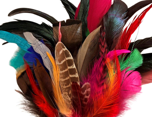 Collection 76 - Mix Random Feather Sample Pack (Bulk)
