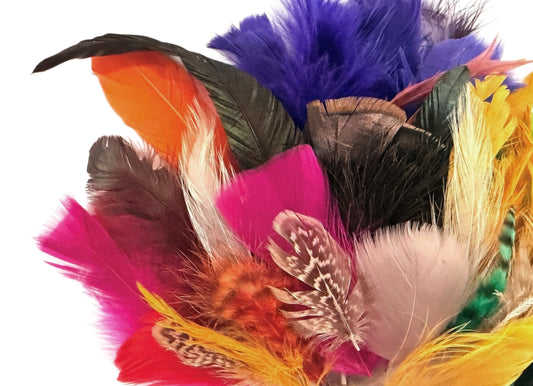 Collection 84 - Mix Random Feather Sample Pack (Bulk)