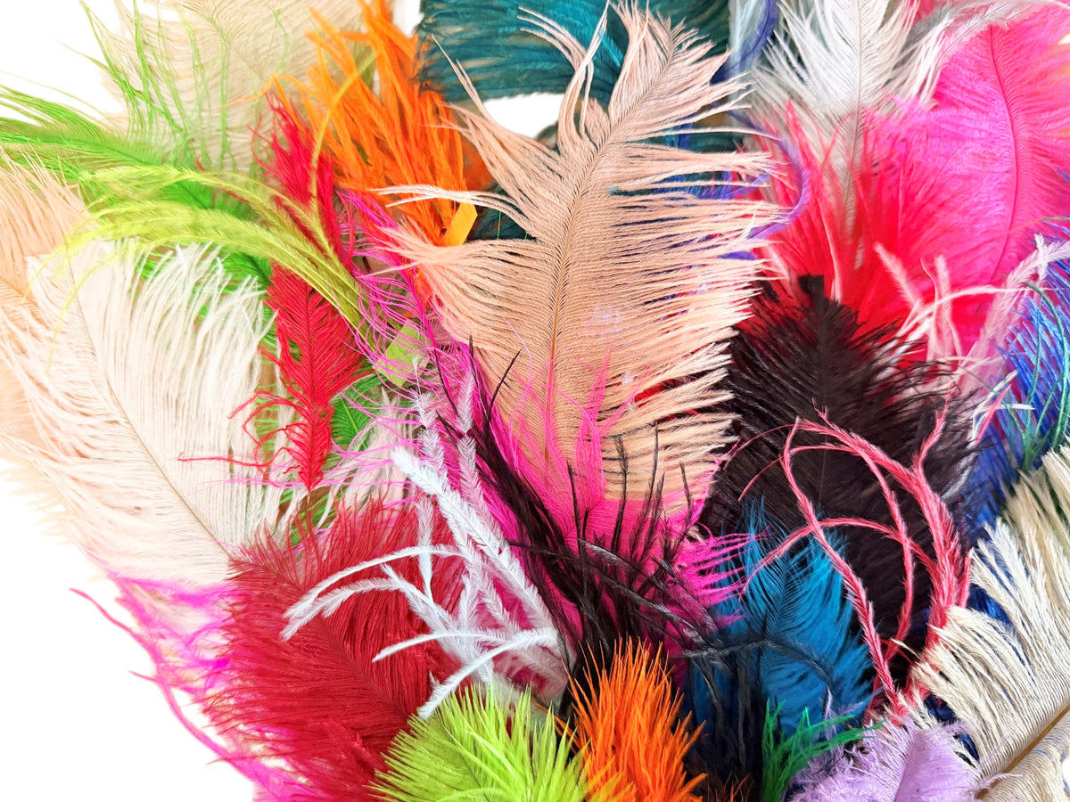 Collection 86 - Mix Random Feather Sample Pack (Bulk)