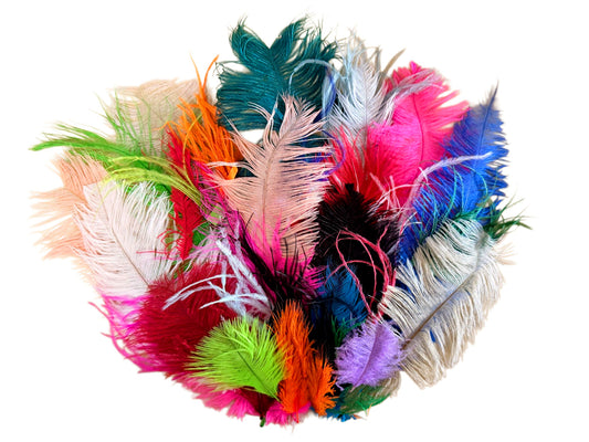 Collection 86 - Mix Random Feather Sample Pack (Bulk)