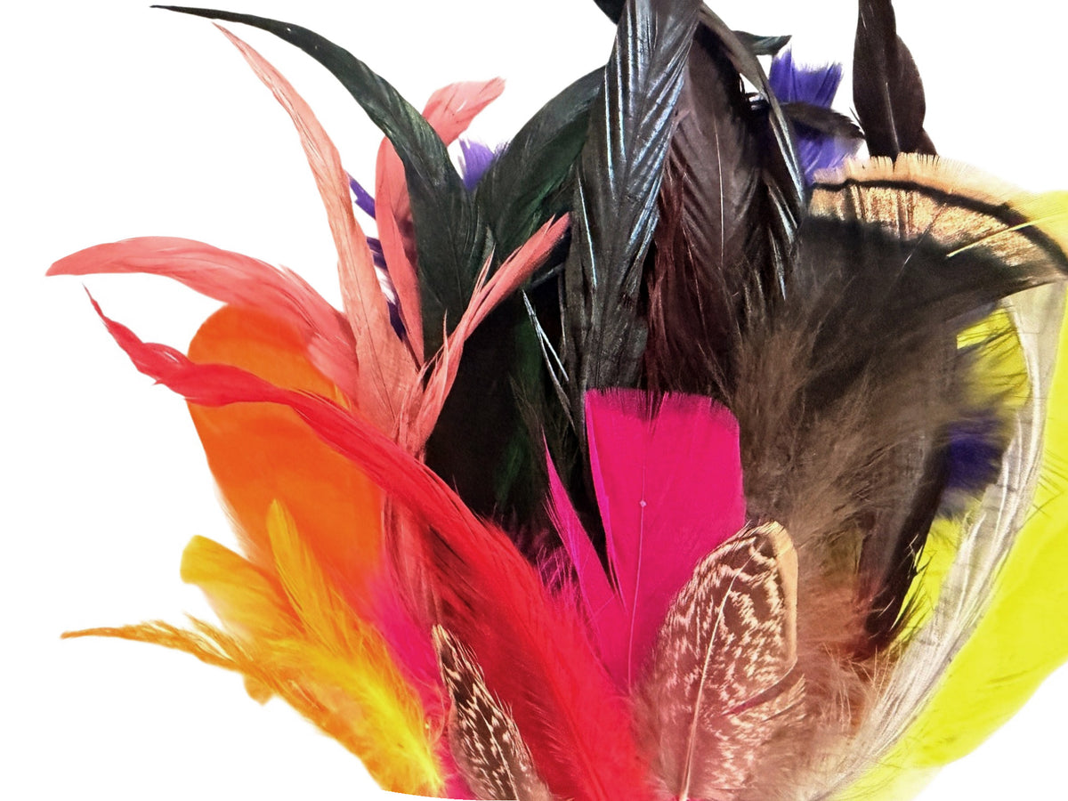 Collection 87 - Mix Random Feather Sample Pack (Bulk)