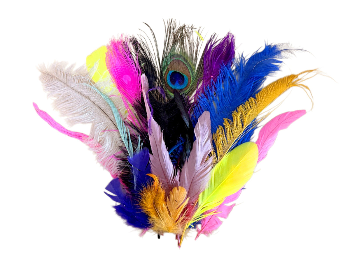 Collection 96 - Mix Random Feather Sample Pack (Bulk)
