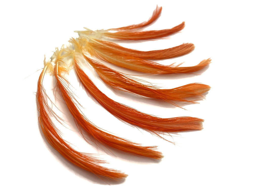 4 Pieces - Orange Moluccan Cockatoo Topknot Crest Feather