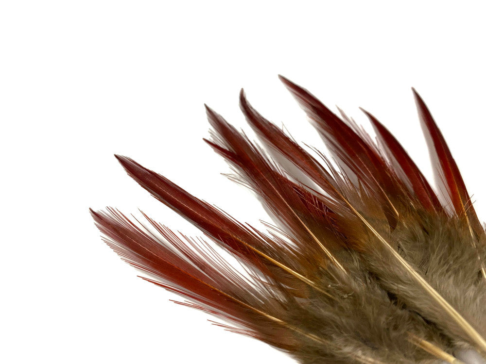 10 Pieces - 4-6" Natural Red Golden Pheasant Red Tip Loose Pointy Feathers