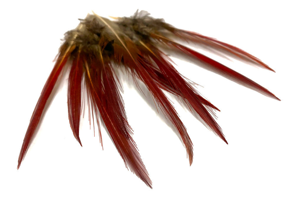 10 Pieces - 4-6" Natural Red Golden Pheasant Red Tip Loose Pointy Feathers