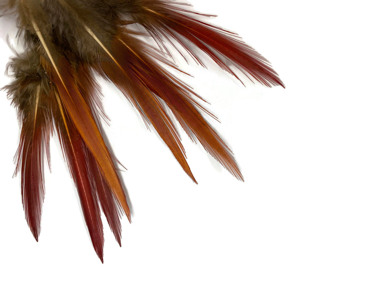 10 Pieces - 4-6" Natural Red Golden Pheasant Red Tip Loose Pointy Feathers