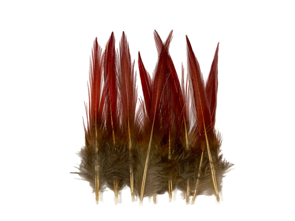 10 Pieces - 4-6" Natural Red Golden Pheasant Red Tip Loose Pointy Feathers