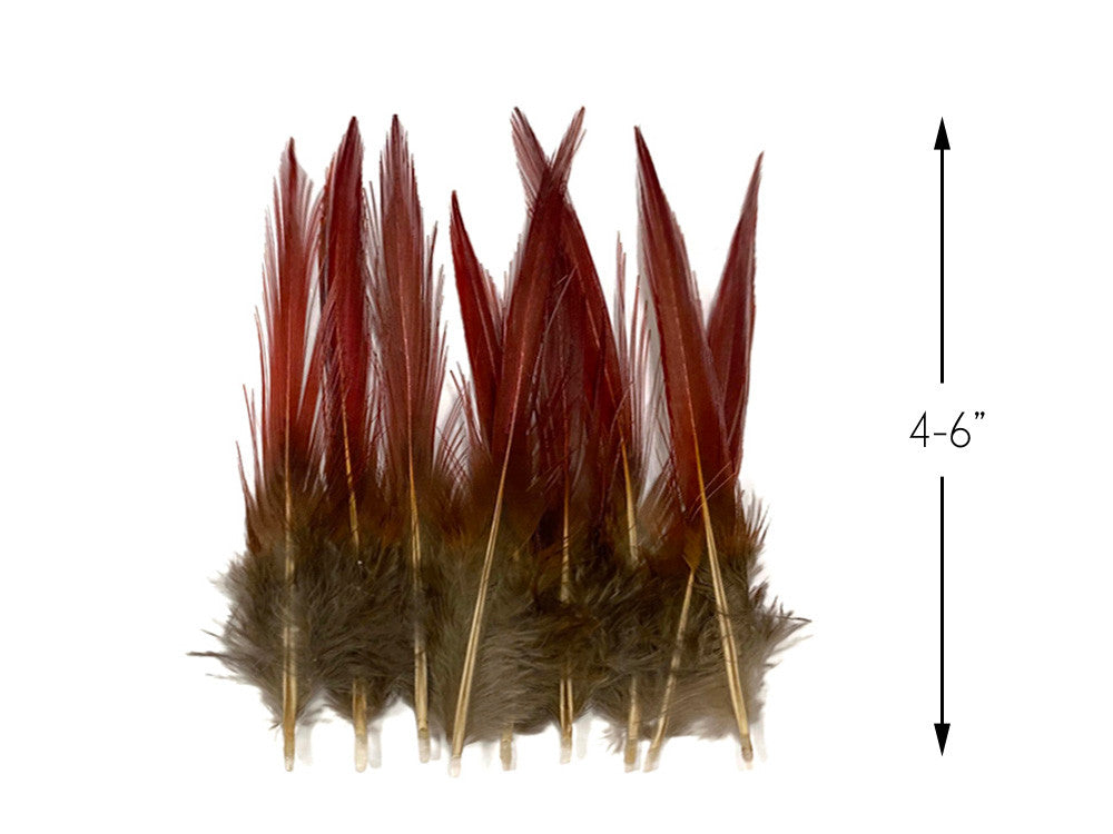 10 Pieces - 4-6" Natural Red Golden Pheasant Red Tip Loose Pointy Feathers