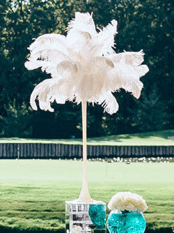 2 Pieces - 25-29" White X-Large Ostrich Wing Plumes Centerpiece Feathers