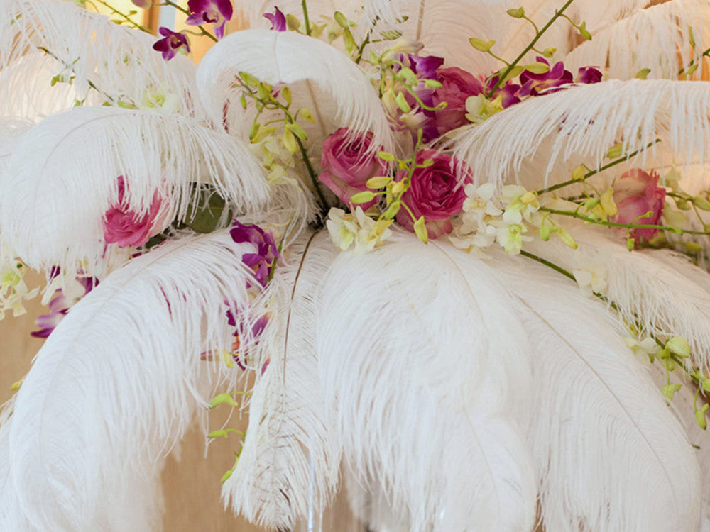 2 Pieces - 25-29" White X-Large Ostrich Wing Plumes Centerpiece Feathers