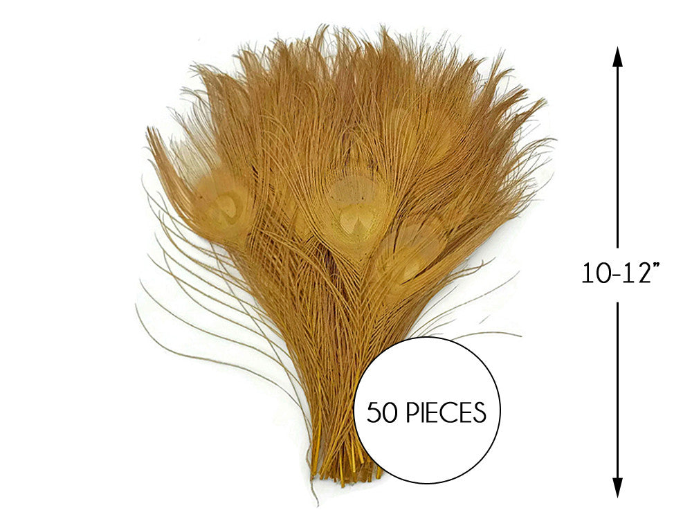 50 Pieces – Dusty Gold Bleached & Dyed Peacock Tail Eye Wholesale Feathers (Bulk) 10-12” Long 