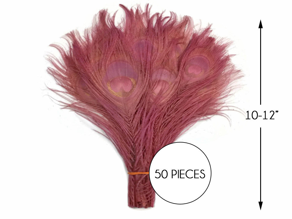 50 Pieces – Taupe Bleached & Dyed Peacock Tail Eye Wholesale Feathers (Bulk) 10-12” Long 