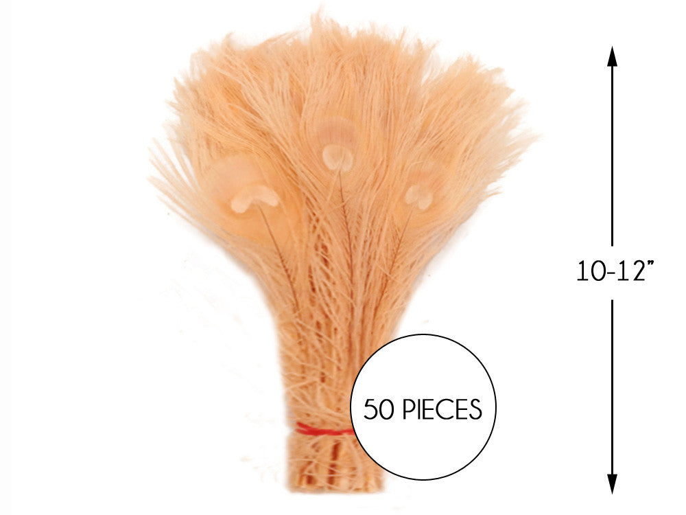 50 Pieces - Peach Pink Bleached And Dyed Peacock Tail Eye Wholesale Feathers (Bulk)