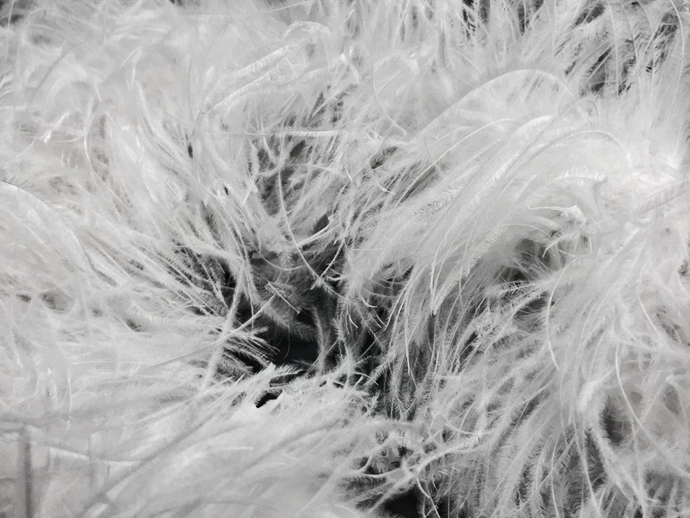 2 Yards - 5 Ply Snow White Heavy Weight Ostrich Fluffy Feather Boa