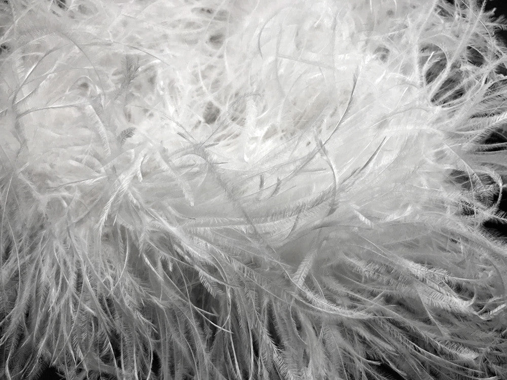 2 Yards - 5 Ply Snow White Heavy Weight Ostrich Fluffy Feather Boa