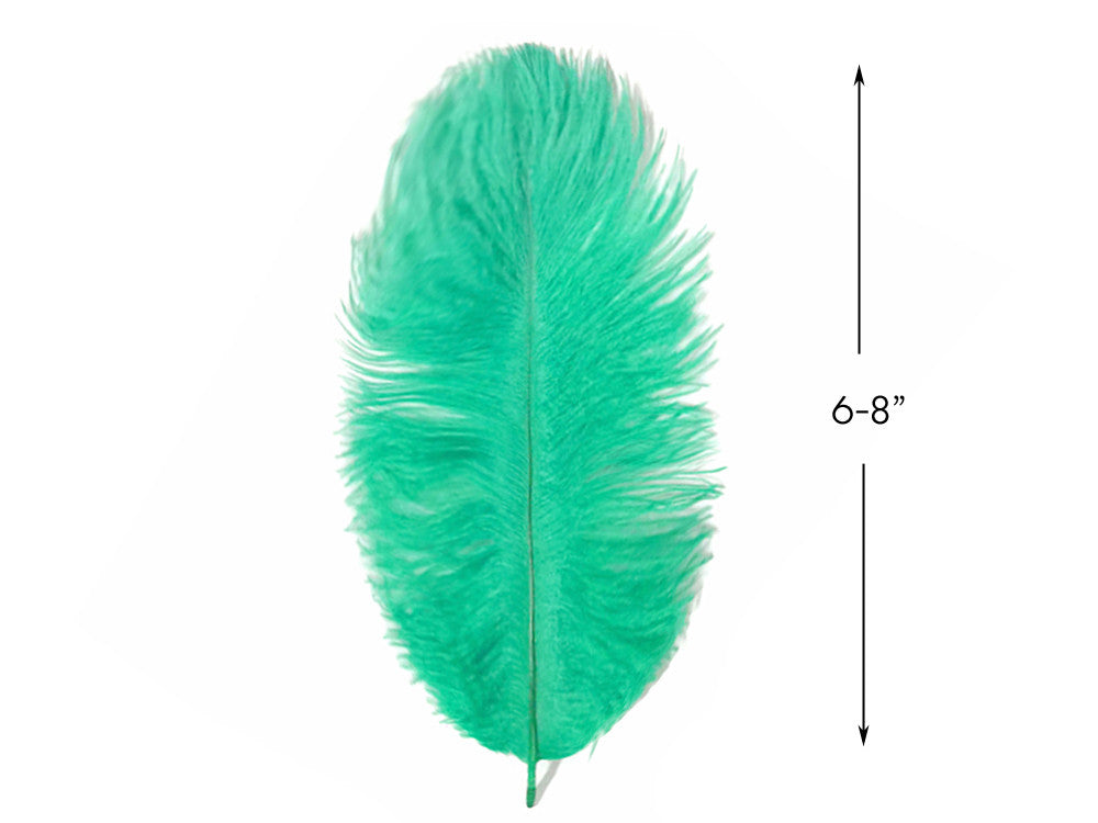 10 Pieces - 6-8" Aqua Green Ostrich Dyed Drabs Body Feathers