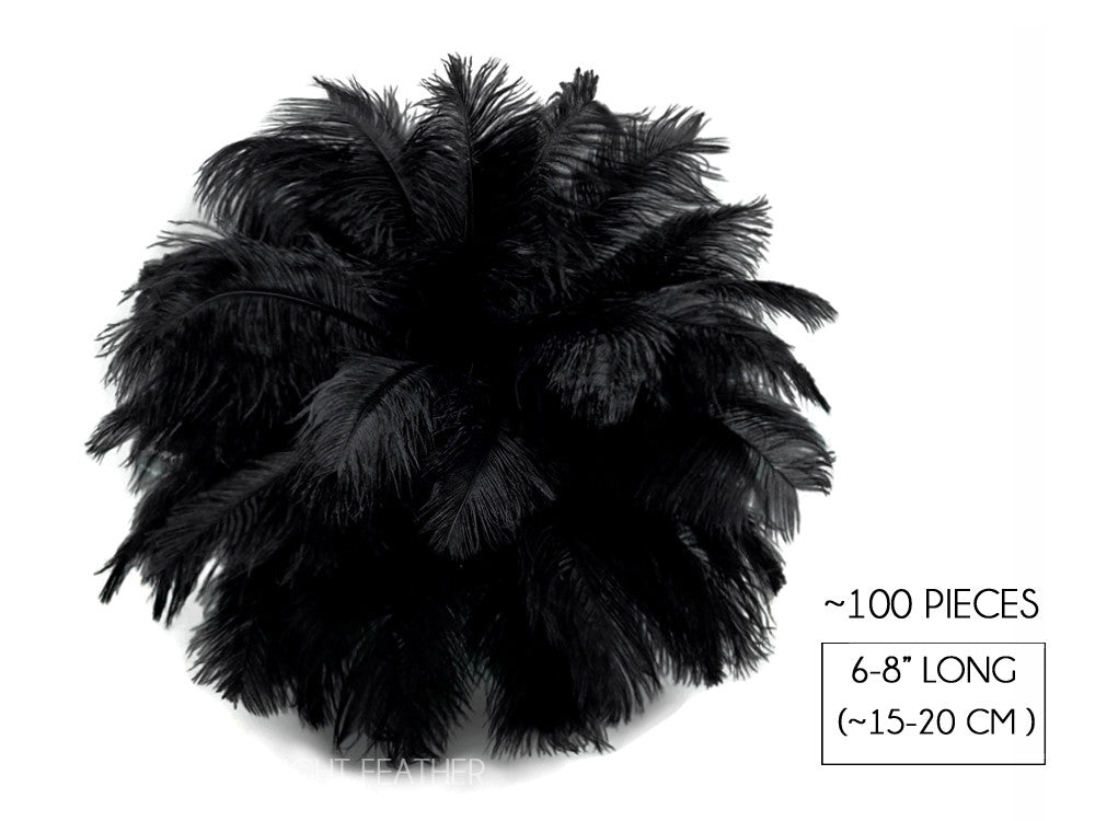 100 Pieces - 6-8" Black Wholesale Ostrich Drabs Feathers (Bulk)