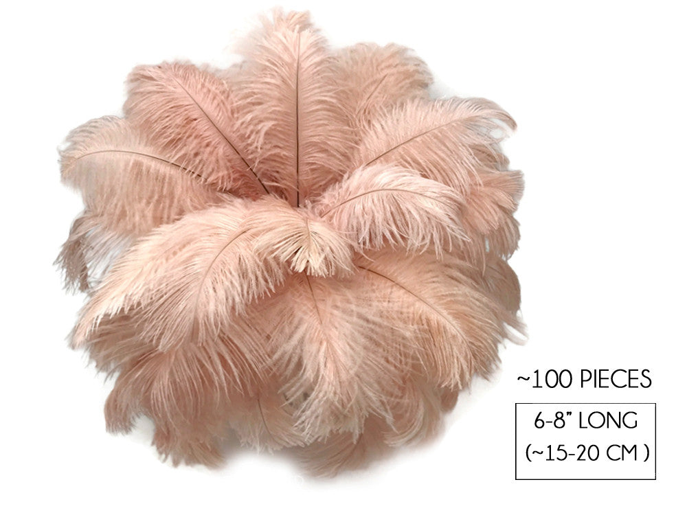 100 Pieces - 6-8" Champagne Wholesale Ostrich Body Drabs Feathers (Bulk)