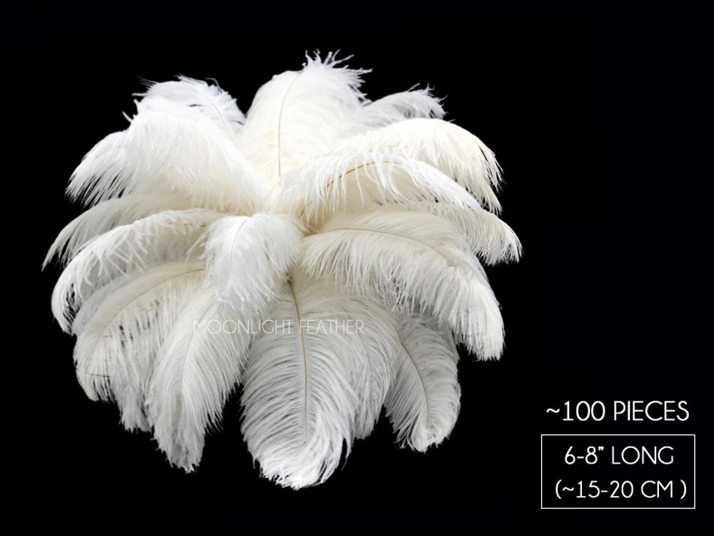 100 Pieces - 6-8" Off White Ostrich Drabs Body Wholesale Feathers (Bulk)