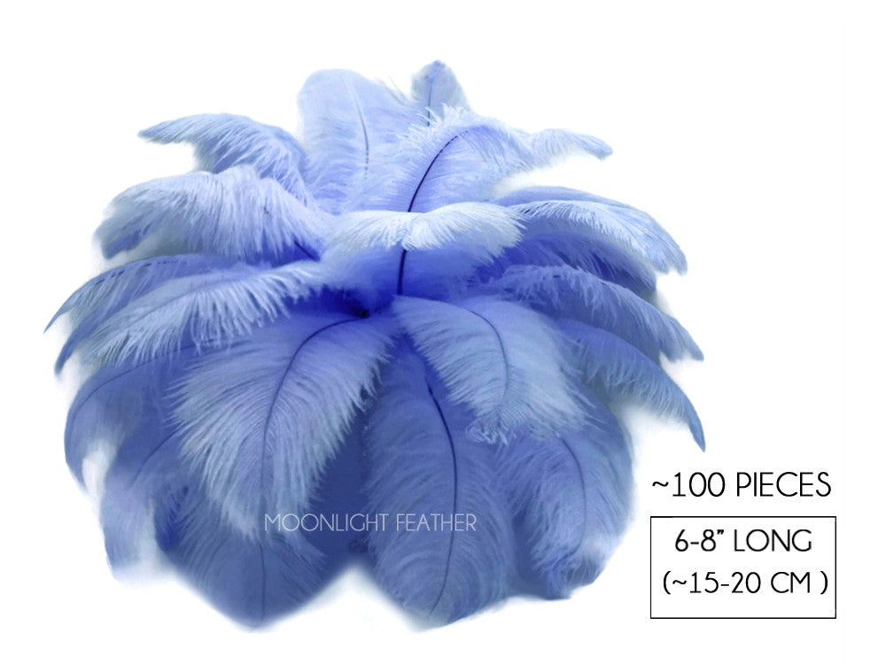 100 Pieces - 6-8" Light Blue Ostrich Drabs Body Wholesale Feathers (Bulk)