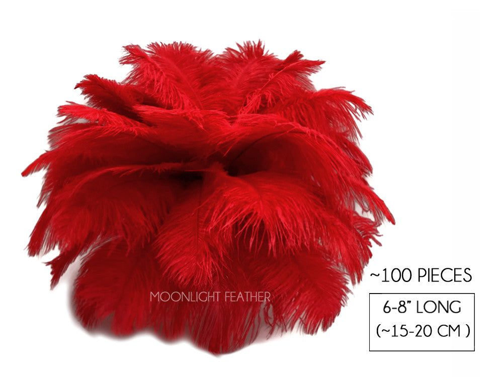 100 Pieces - 6-8" Red Wholesale Ostrich Body Drabs Feathers (Bulk)
