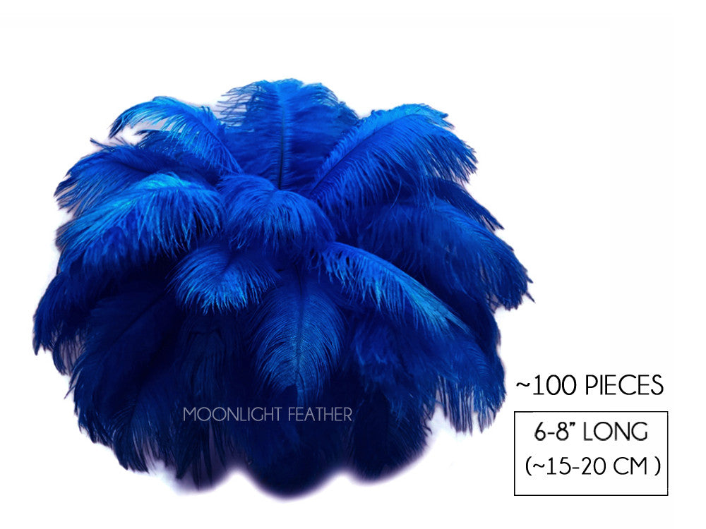 100 Pieces - 6-8" Royal Blue Wholesale Ostrich Drabs Feathers (Bulk)