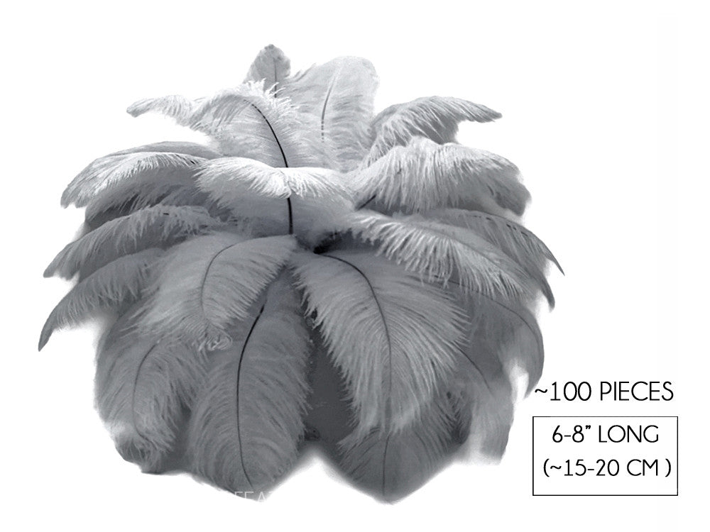 100 Pieces - 6-8" Silver Gray Ostrich Drabs Body Wholesale Feathers (Bulk)