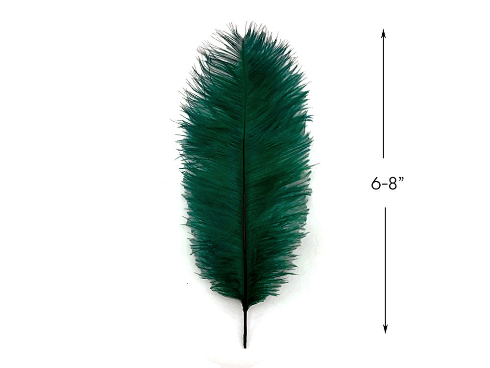 10 Pieces - 6-8" Peacock Green Ostrich Dyed Drabs Feathers