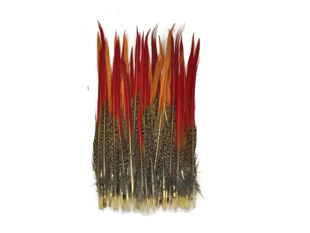 10 Pieces - 6-8" Natural Red Golden Pheasant Red Tip Loose Pointy Feathers