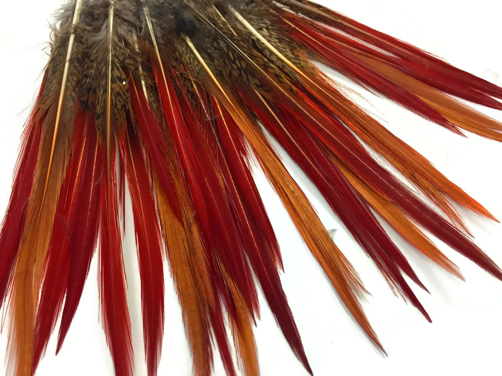 10 Pieces - 10-12" Natural Red Golden Pheasant Red Tip Loose Pointy Feathers