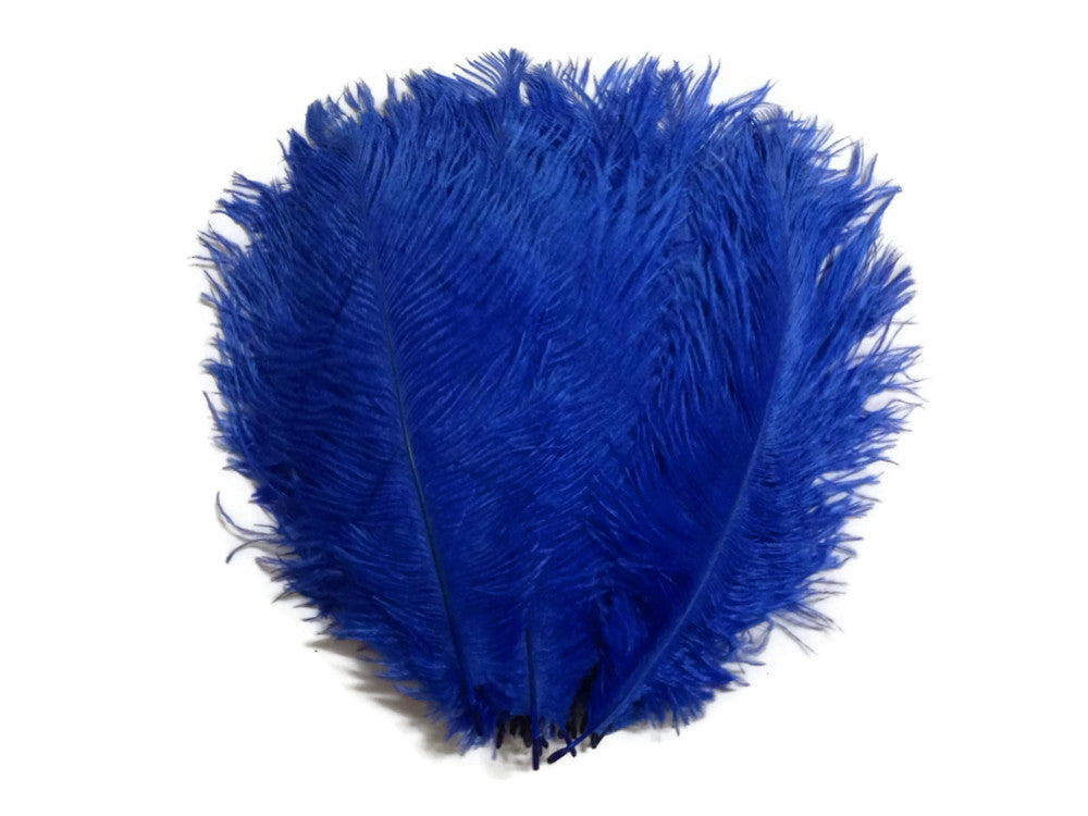 10 Pieces - 14-17" Royal Blue Ostrich Dyed Drab Body Feathers