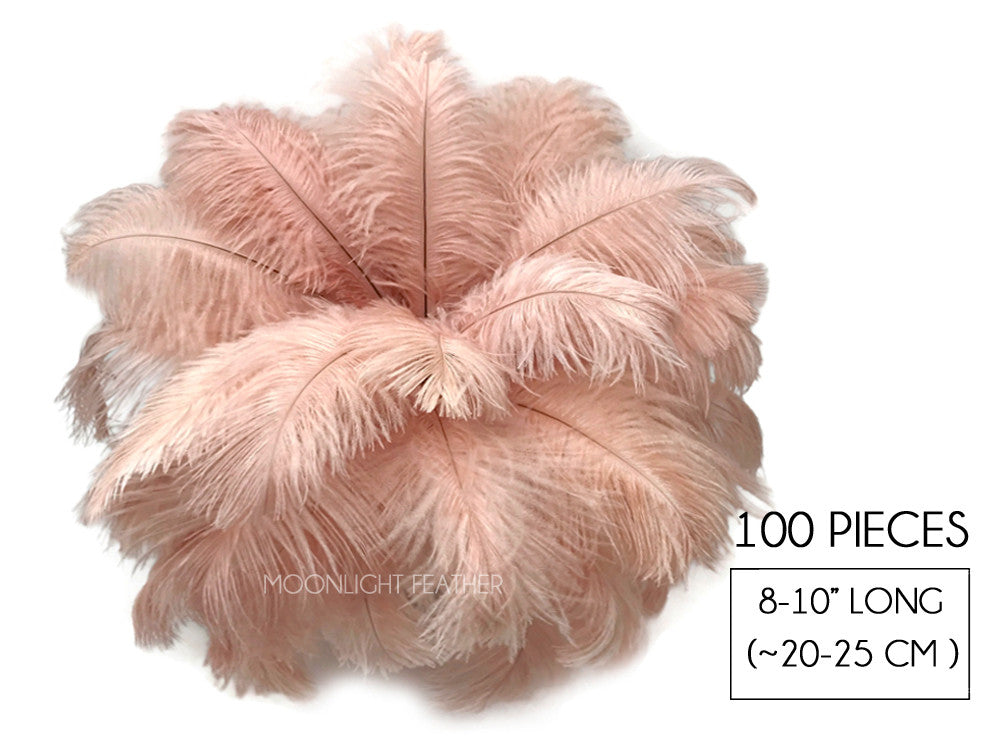 100 Pieces - 8-10" Champagne Ostrich Dyed Drab Body Wholesale Feathers (Bulk)