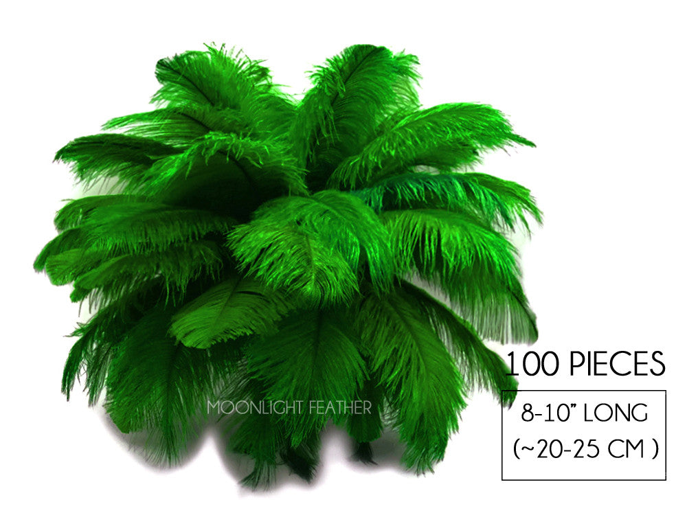 100 Pieces - 8-10" Kelly Green Ostrich Dyed Drab Body Wholesale Feathers (Bulk)