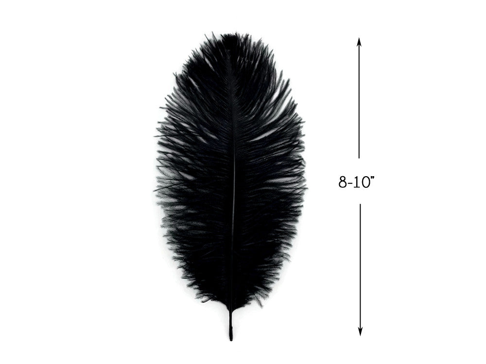 10 Pieces - 8-10" Black Ostrich Drab Dyed Feathers