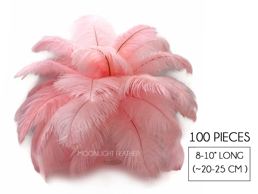 100 Pieces - 8-10" Light Pink Ostrich Dyed Drab Body Wholesale Feathers (Bulk)