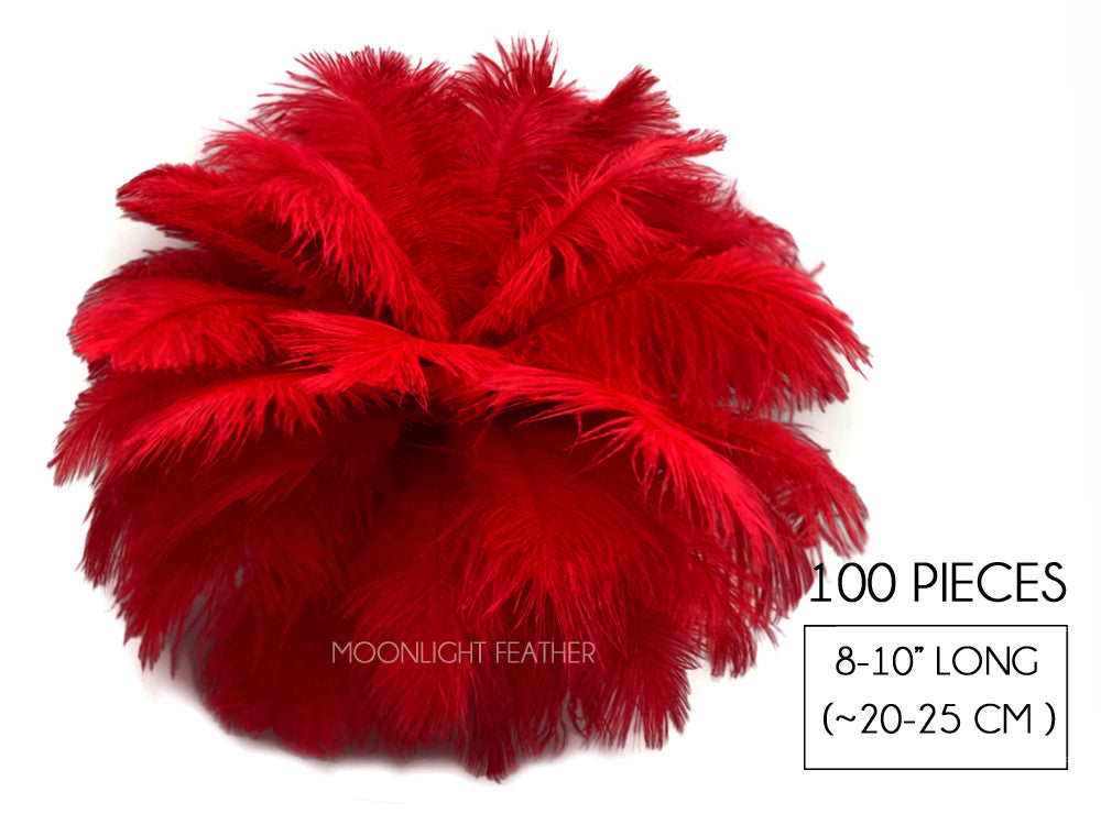 100 Pieces - 8-10" Red Ostrich Dyed Drab Body Wholesale Feathers (Bulk)