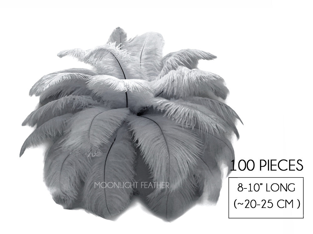 100 Pieces - 8-10" Silver Gray Ostrich Dyed Drab Body Wholesale Feathers (Bulk)