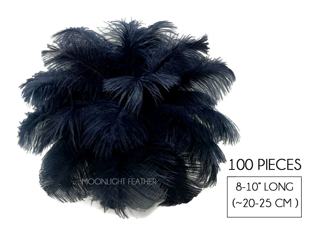 100 Pieces - 8-10" Navy Blue Ostrich Dyed Drab Body Wholesale Feathers (Bulk)