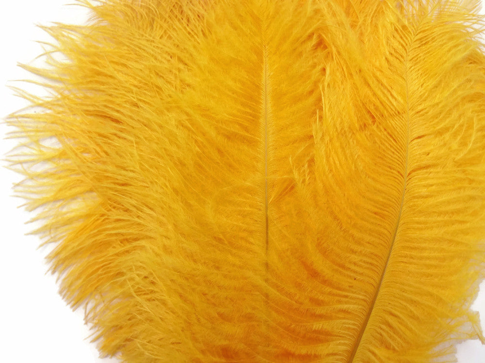 100 Pieces - 11-13" Golden Yellow Ostrich Drabs Wholesale Body Feathers (Bulk)