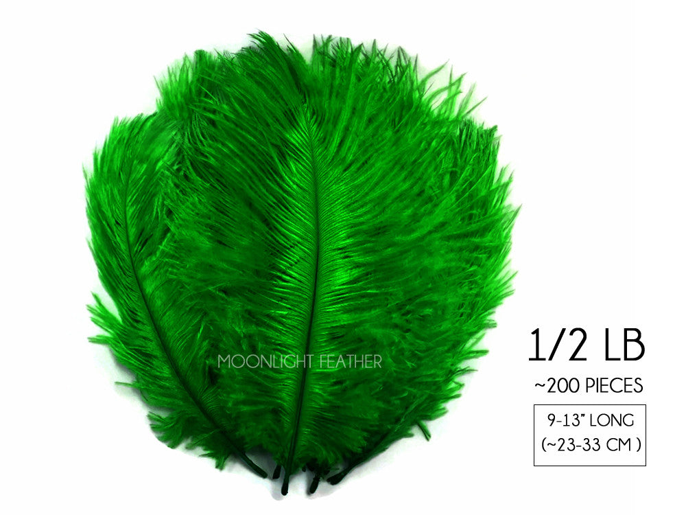 1/2 Lb. - 9-13" Kelly Green Dyed Ostrich Body Drab Wholesale Feathers (Bulk)