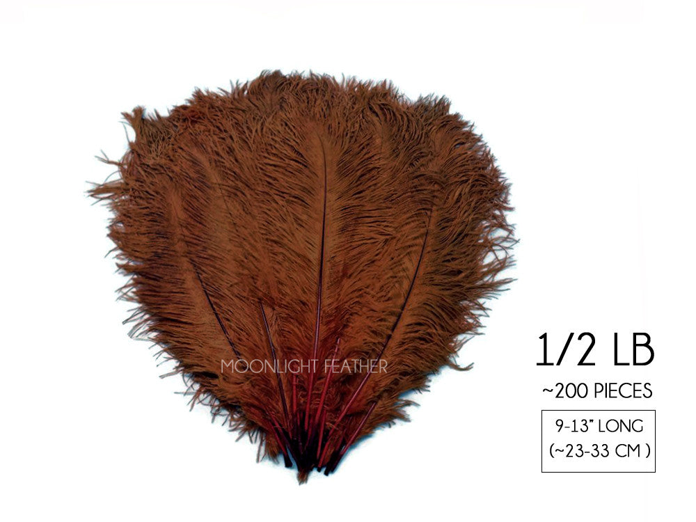 1/2 Lb. - 9-13" Brown Dyed Ostrich Body Drab Wholesale Feathers (Bulk)