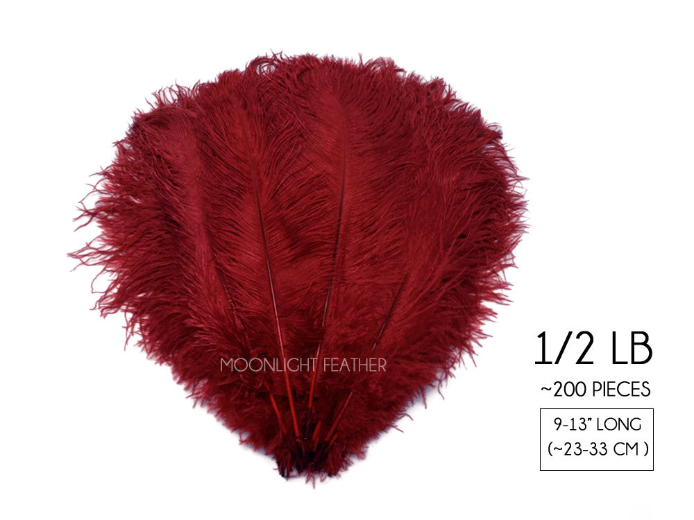 1/2 Lb. - 9-13" Burgundy Dyed Ostrich Body Drab Wholesale Feathers (Bulk)