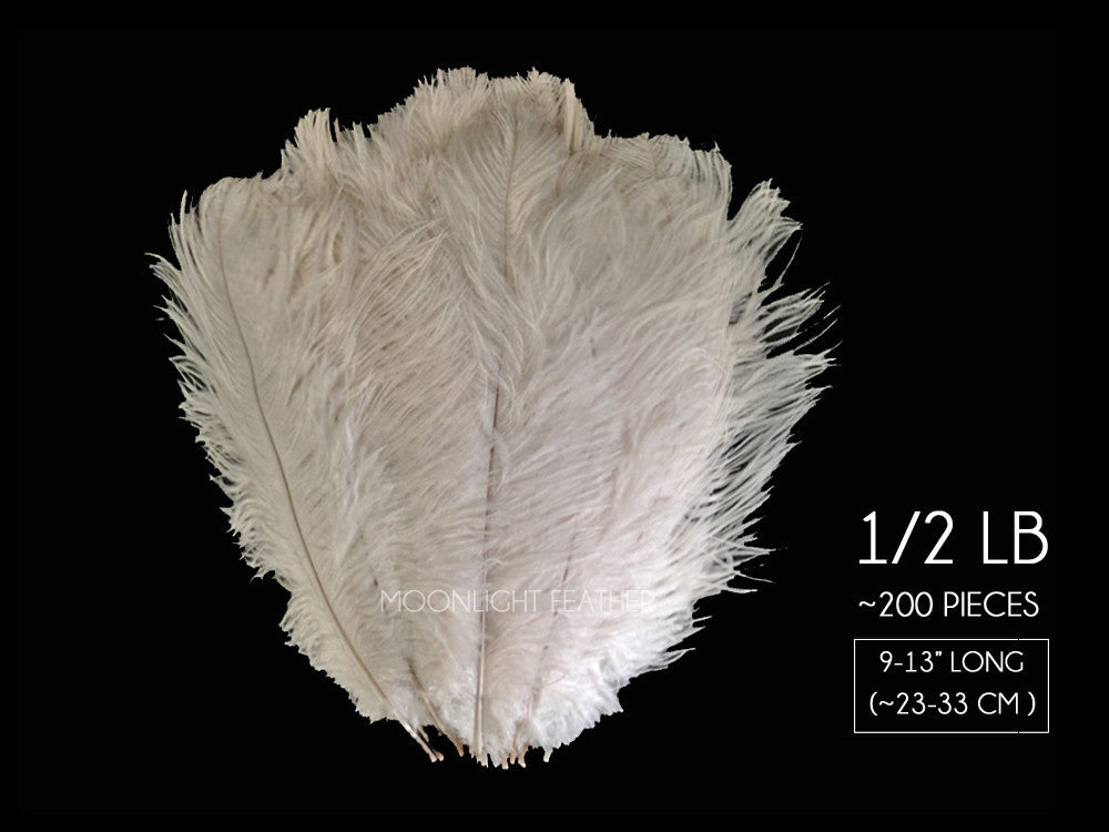 1/2 Lb. - 9-13" Off White Bleached Ostrich Body Drab Wholesale Feathers (Bulk)