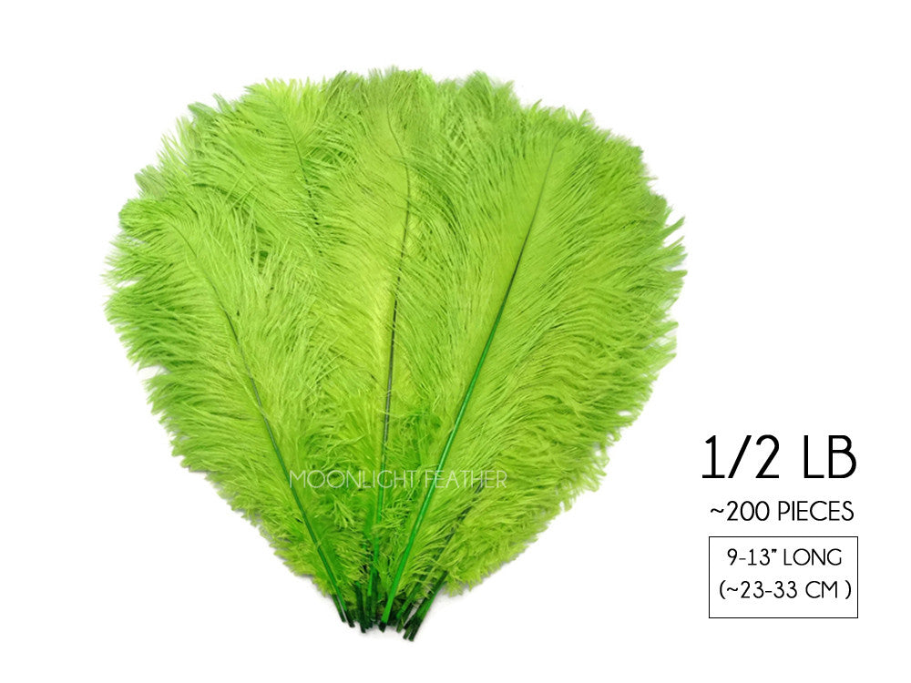 1/2 Lb. - 9-13" Lime Green Dyed Ostrich Body Drab Wholesale Feathers (Bulk)